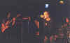 cat1.jpg (40606 bytes)